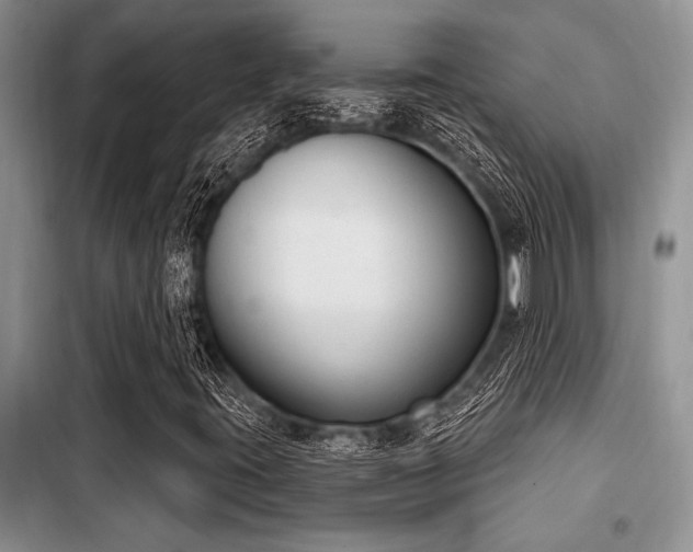 X0000098141395200804171535