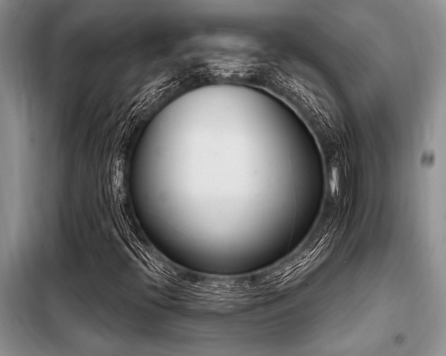 X0000098141396200804171535
