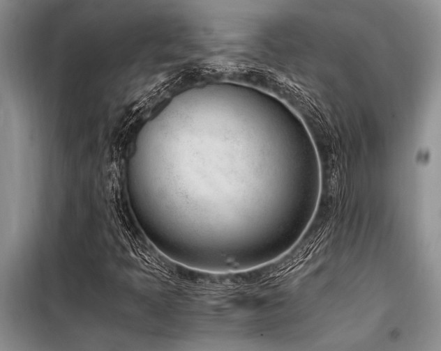 X0000098141397200804171535