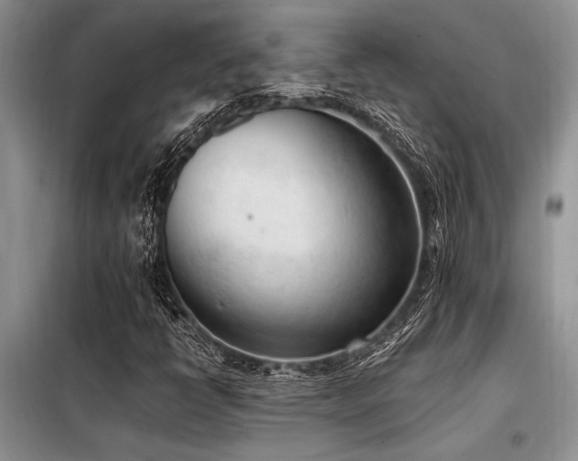 X0000098141398200804171535