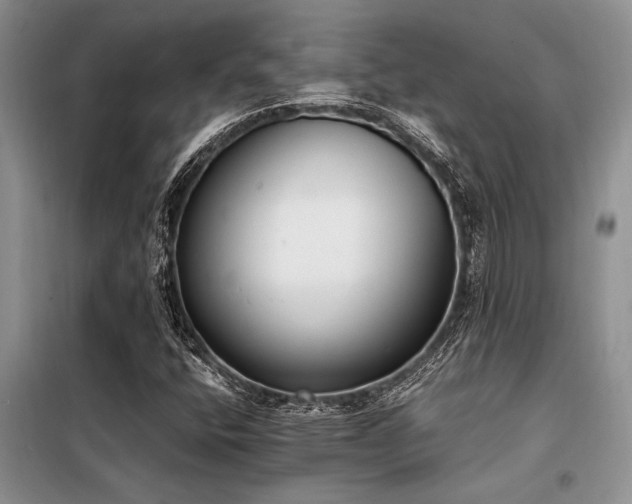 X0000098141400200804171535