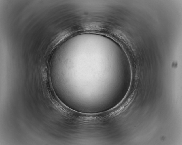 X0000098141401200804171535