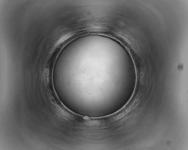X0000098141402200804171535