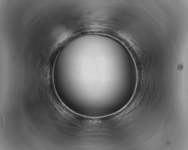 X0000098141403200804171535