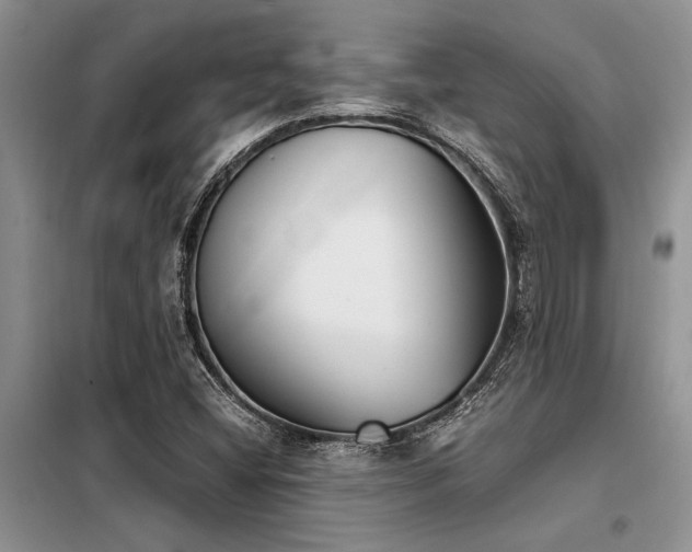 X0000098141404200804171535