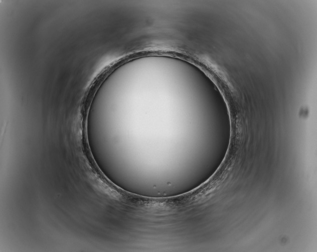 X0000098141408200804171536