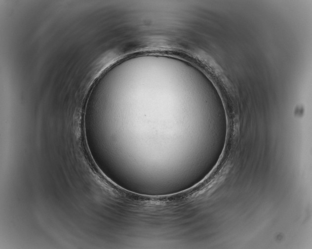 X0000098141409200804171536