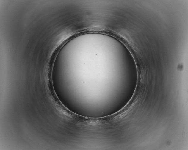 X0000098141410200804171536
