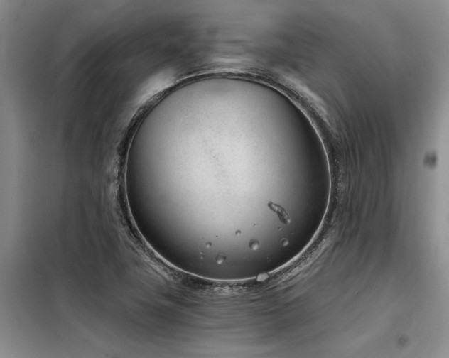 X0000098141411200804171536