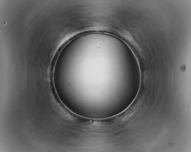 X0000098141412200804171536