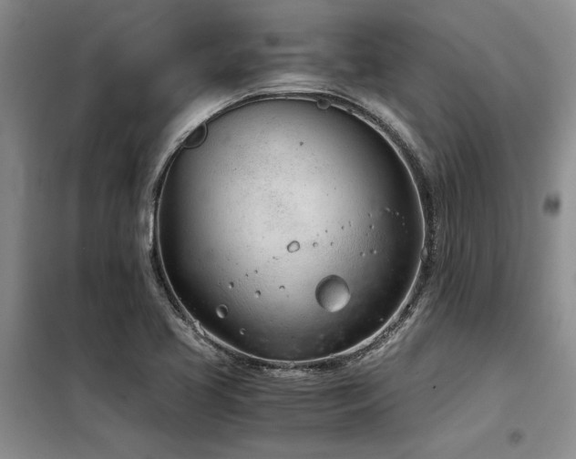 X0000098141413200804171536