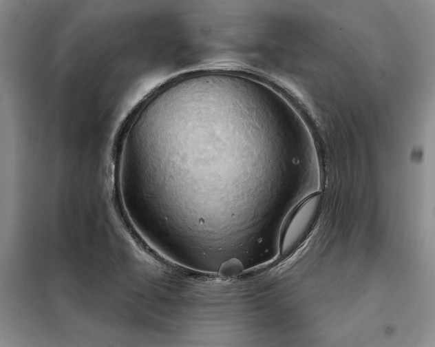 X0000098141414200804171536