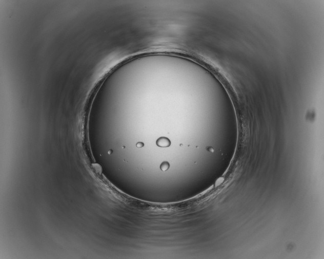 X0000098141415200804171536