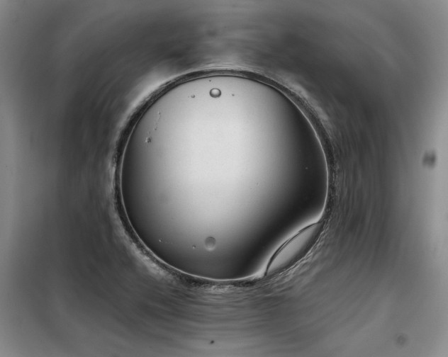 X0000098141416200804171536