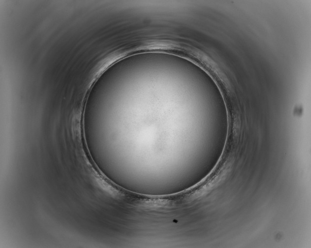 X0000098141417200804171536