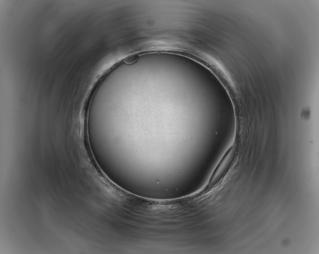 X0000098141419200804171536