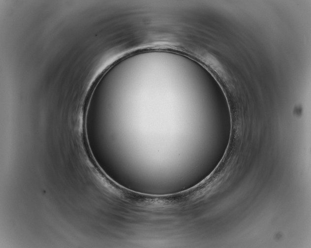 X0000098141420200804171536