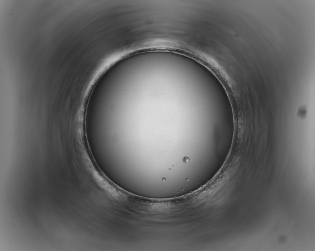 X0000098141421200804171536