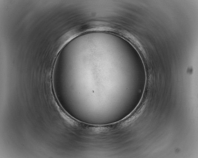 X0000098141425200804171536