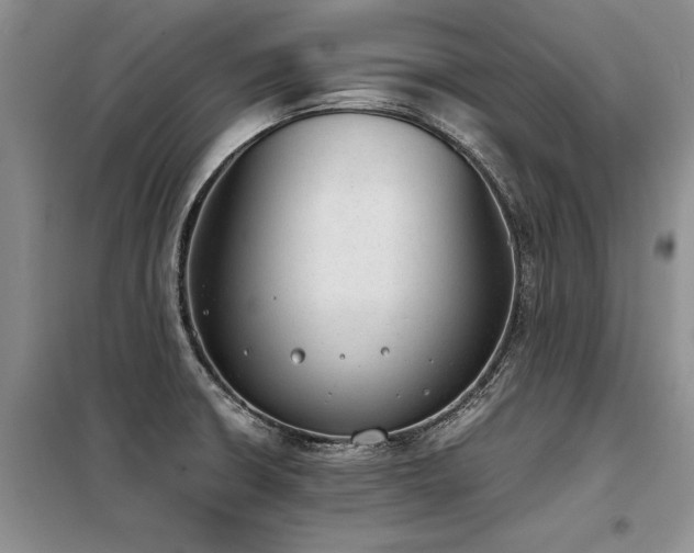 X0000098141426200804171536
