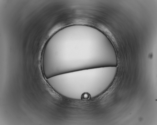 X0000098141427200804171536