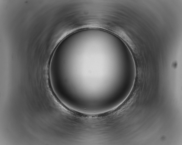 X0000098141428200804171536