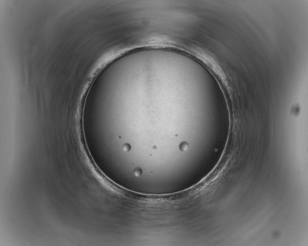 X0000098141429200804171536