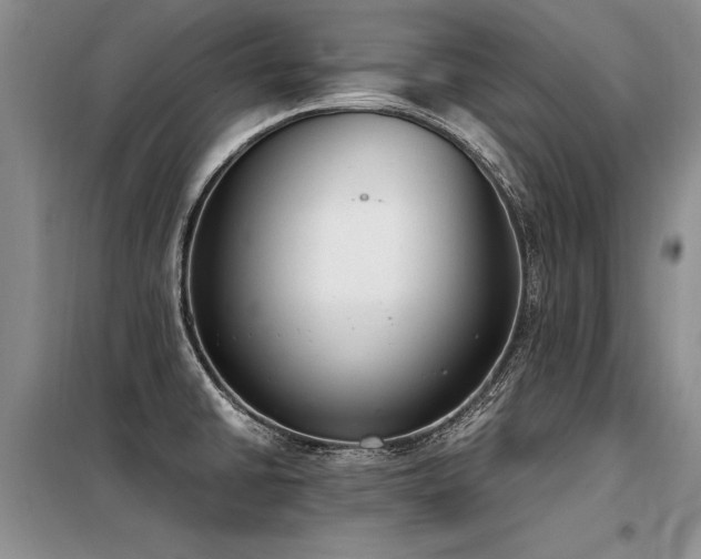 X0000098141430200804171536