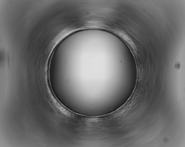 X0000098141431200804171536