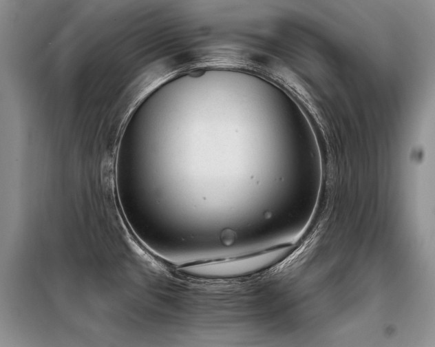 X0000098141433200804171536
