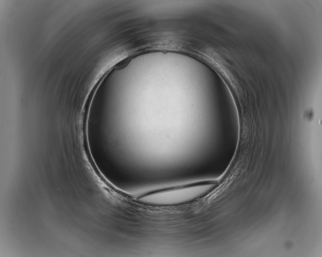X0000098141434200804171536