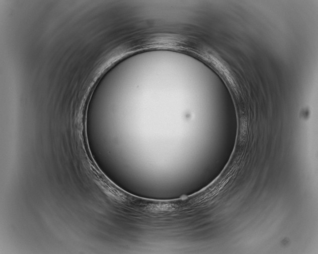 X0000098141435200804171536