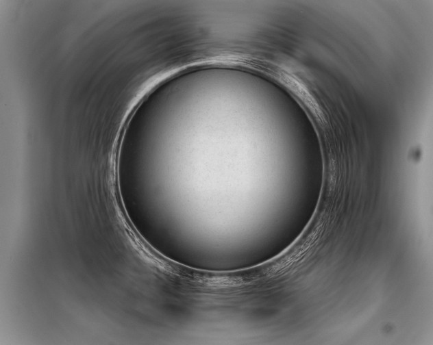 X0000098141436200804171536
