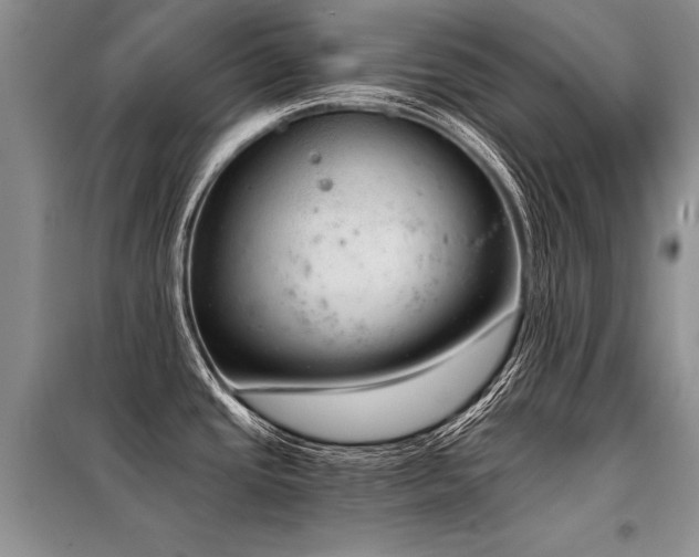 X0000098141437200804171536