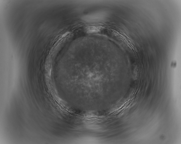 X0000098141441200804171535