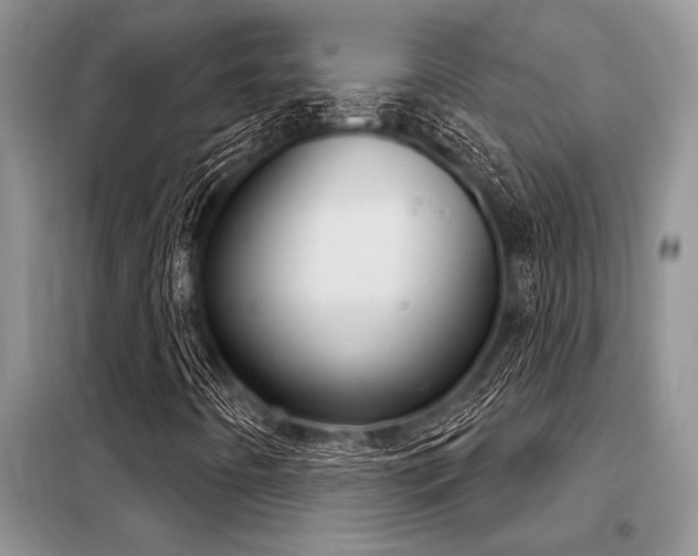 X0000098141442200804171535