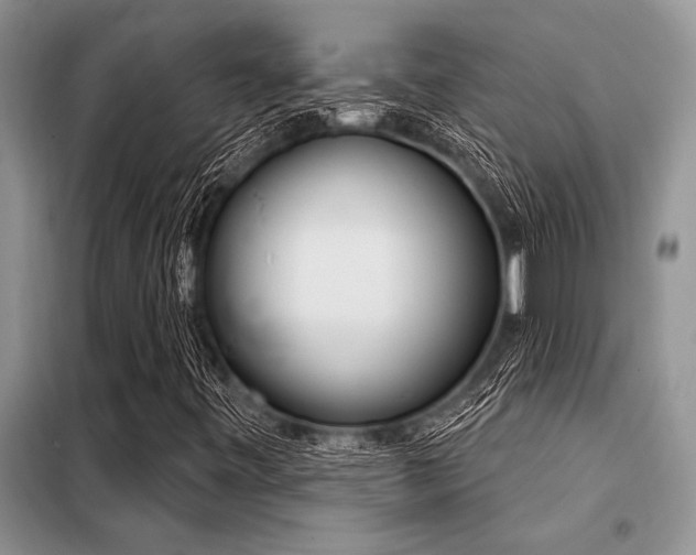 X0000098141443200804171535