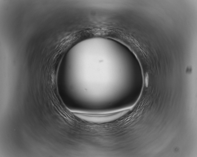 X0000098141444200804171535
