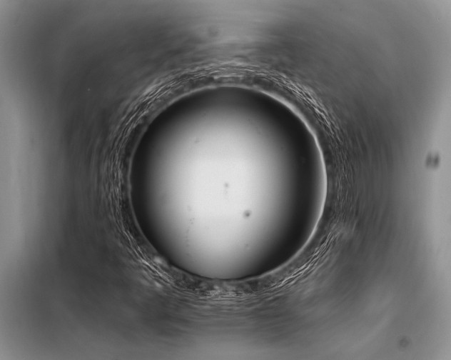 X0000098141445200804171535