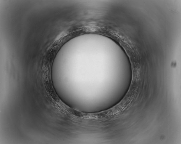 X0000098141446200804171535