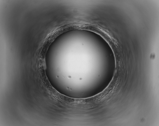 X0000098141447200804171535
