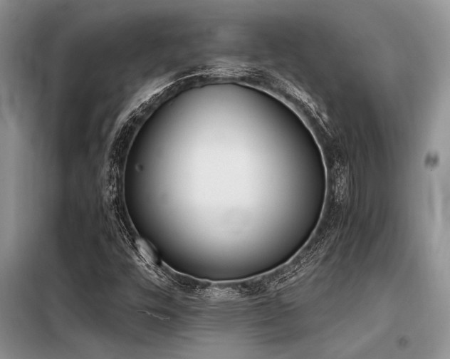 X0000098141448200804171535