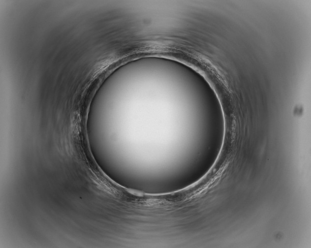 X0000098141449200804171535