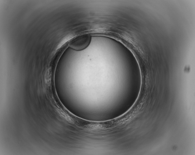 X0000098141450200804171535