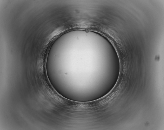 X0000098141451200804171535