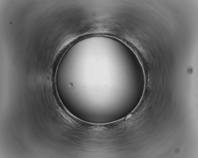 X0000098141452200804171535