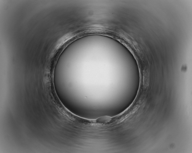 X0000098141453200804171535