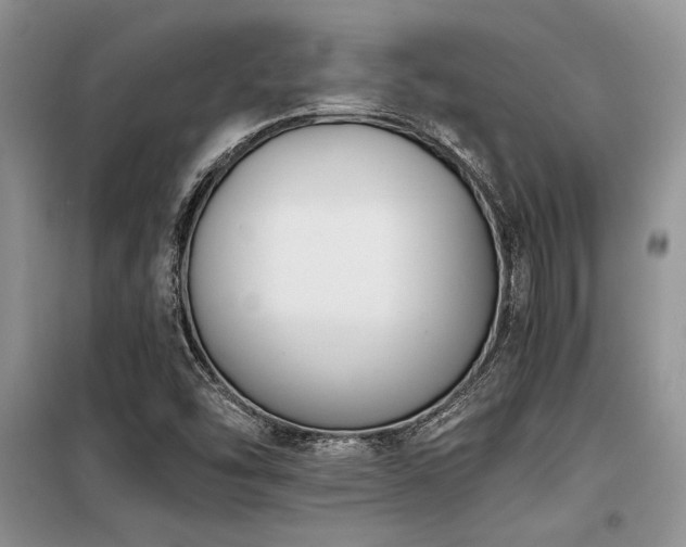 X0000098141454200804171535
