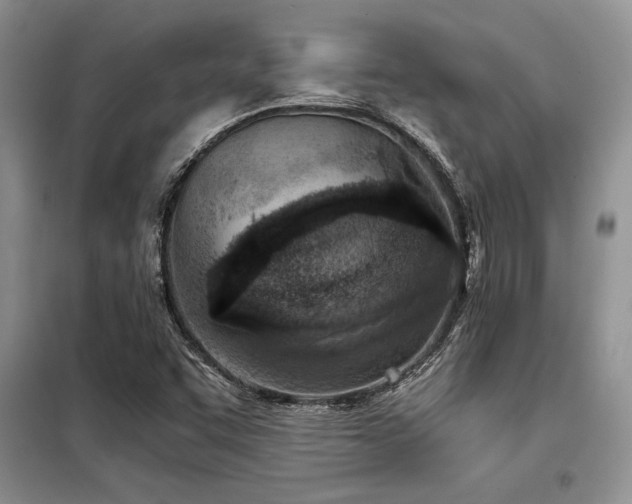 X0000098141455200804171535
