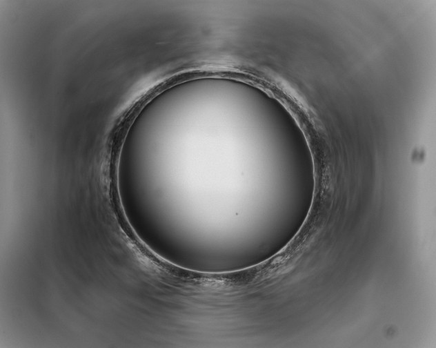 X0000098141456200804171535